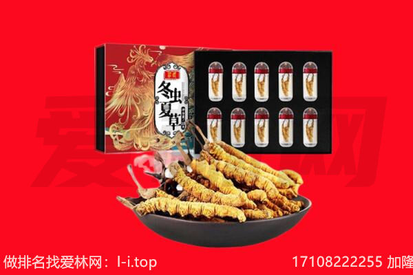 那曲申扎县回收虫草.jpg